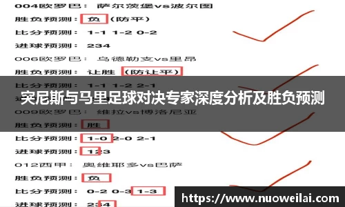 突尼斯与马里足球对决专家深度分析及胜负预测